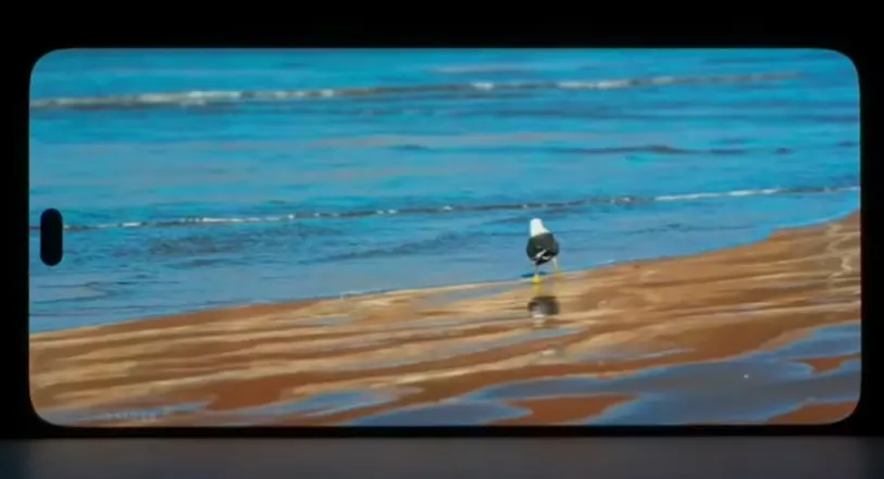 honor 300 pro display image