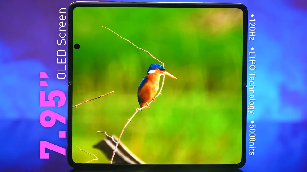 honor magic v5 display image