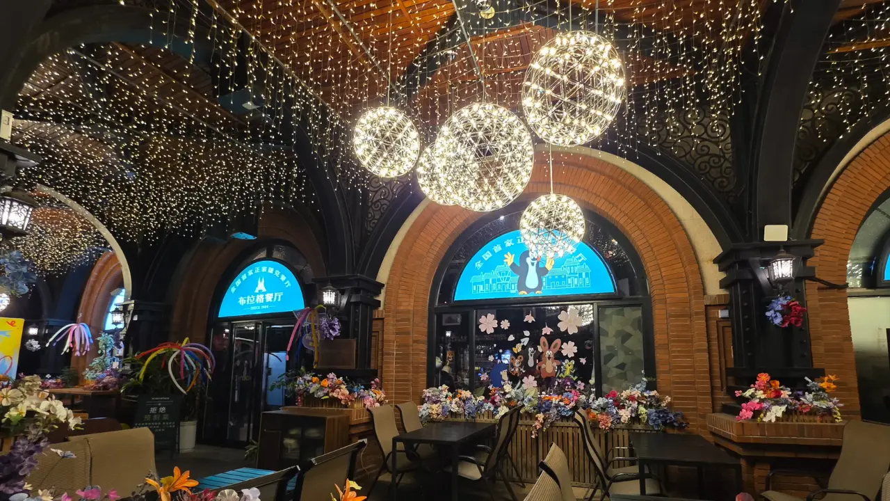 honor magic8 pro low light image