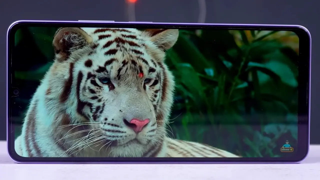 honor play10 display image