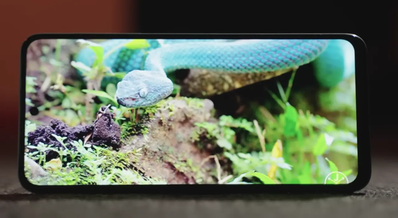 Honor X7d Display Image