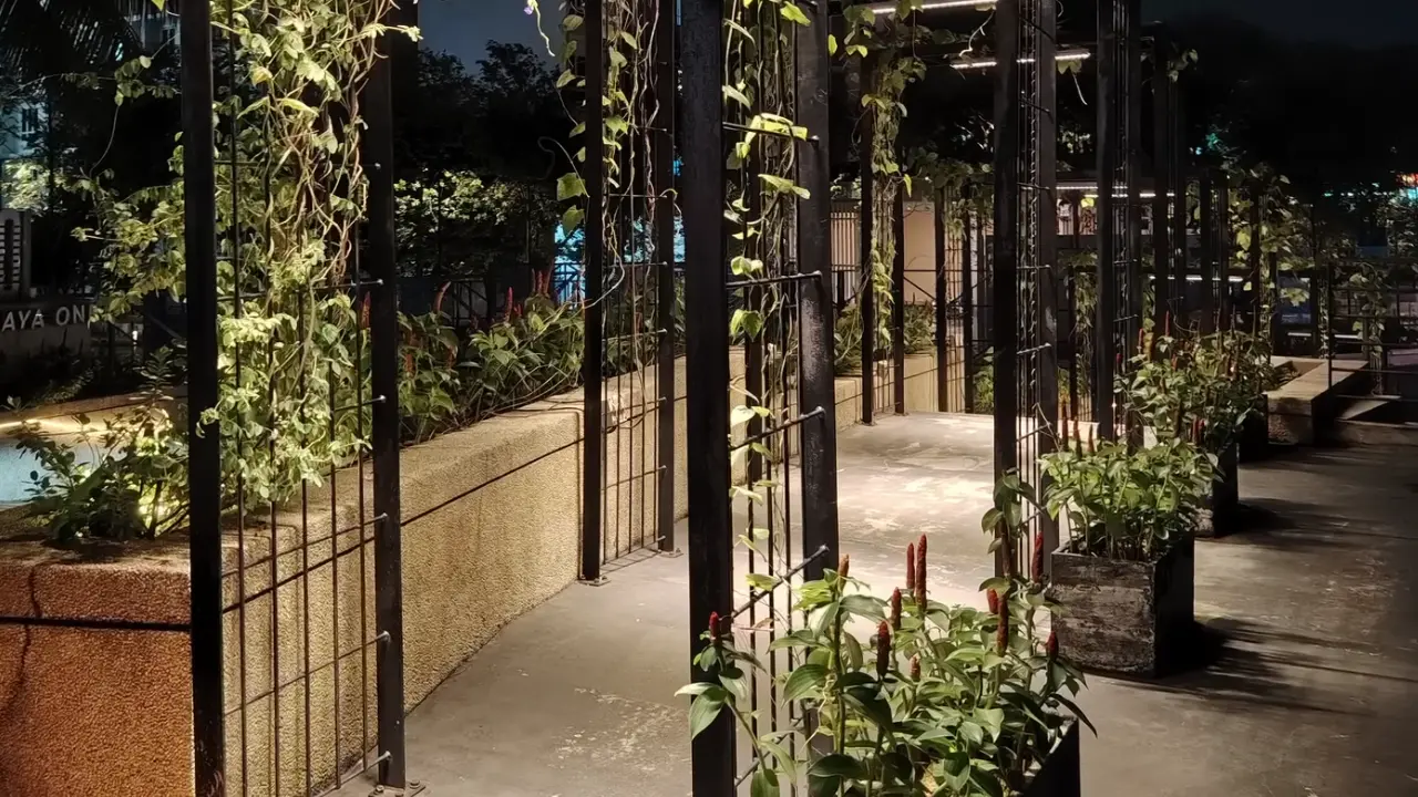 honor x9d low light image