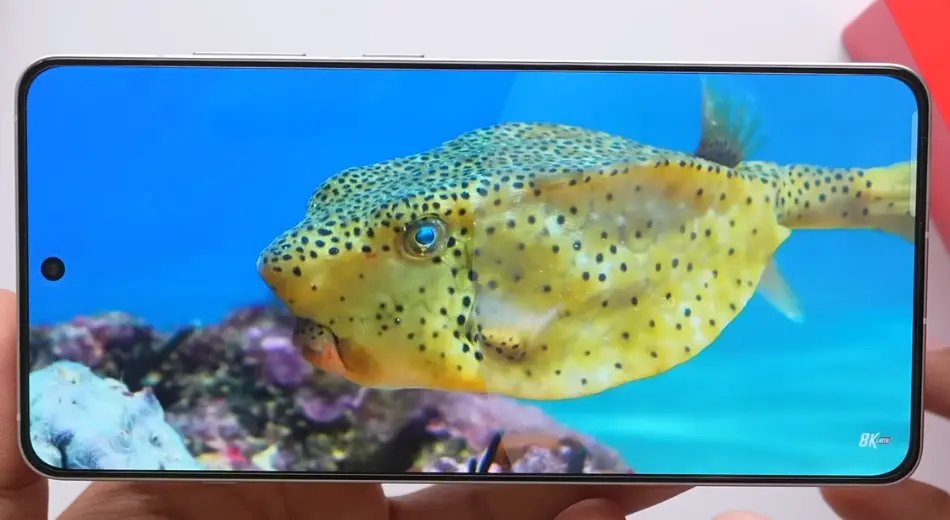 oneplus 13r display