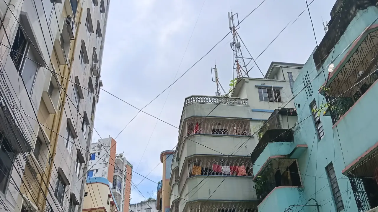 OPPO A6 Pro Daylight Photo
