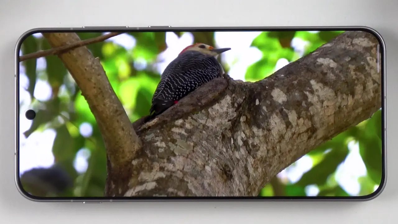 oppo find x9 display image