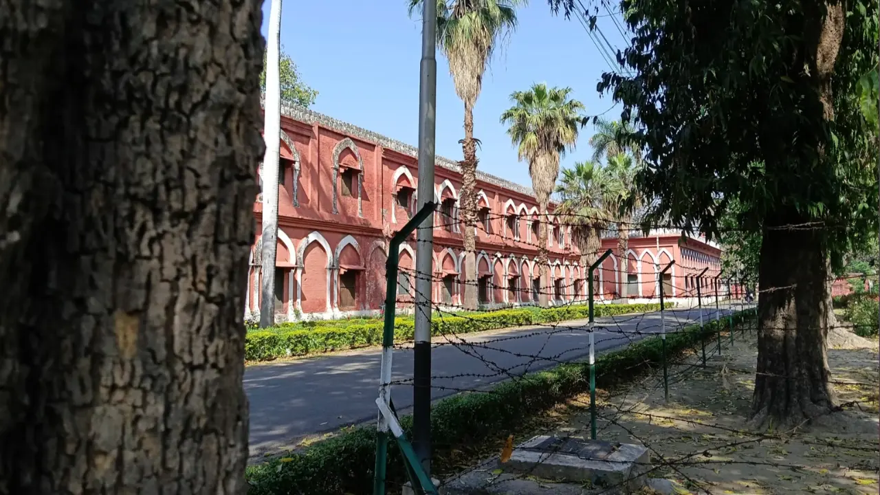 oppo k14 day light image