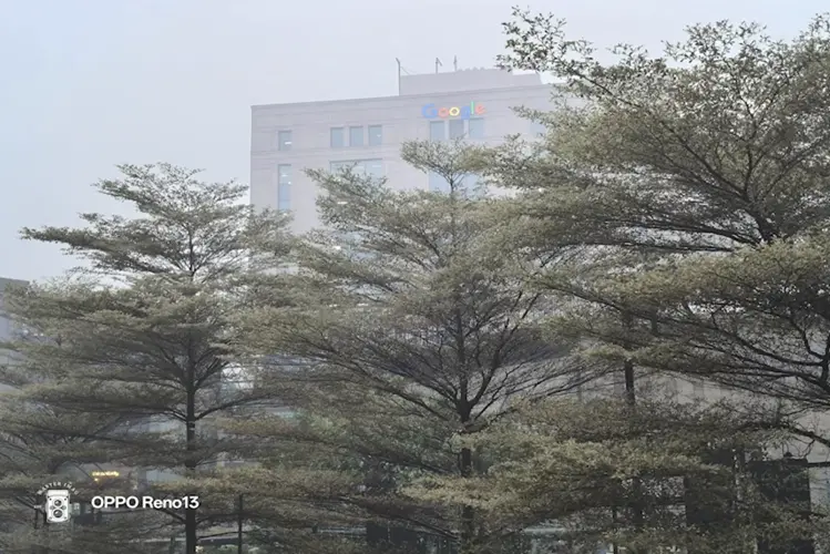 oppo reno13 camera daylight photography