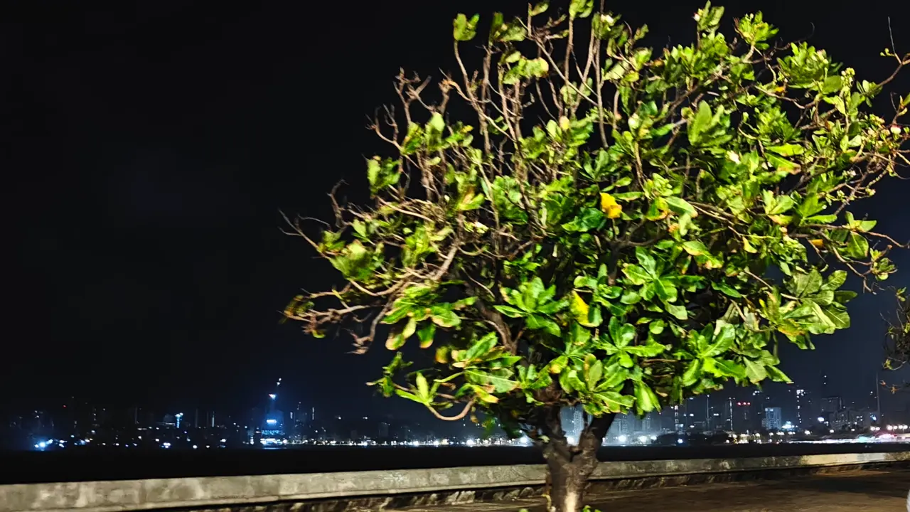 realme 15 pro low light image
