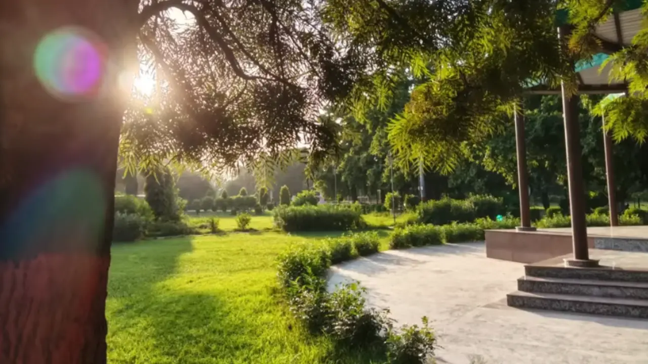 realme 15x day light image