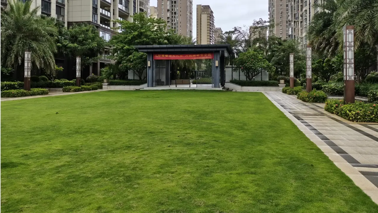 Redmi note 15 pro plus daylight photo