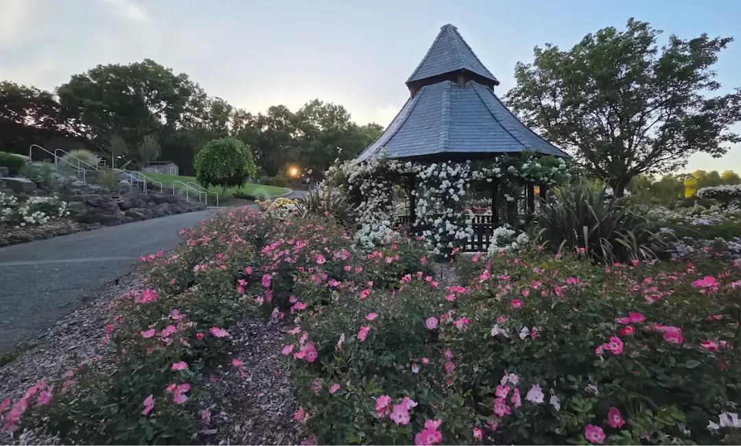 Samsung galaxy s25 edge day light photo