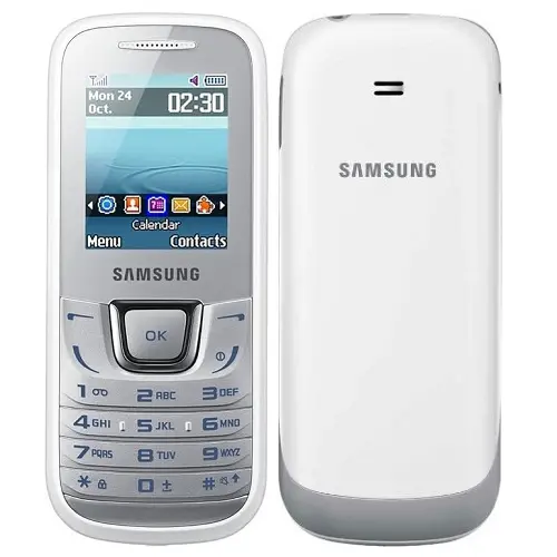 Samsung Guru Music E1282 Image