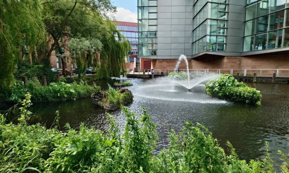 sony xperia 1 vii day light image