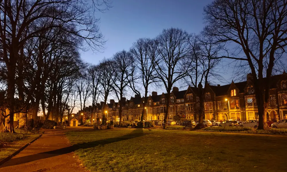 tecno camon 40 pro low light image