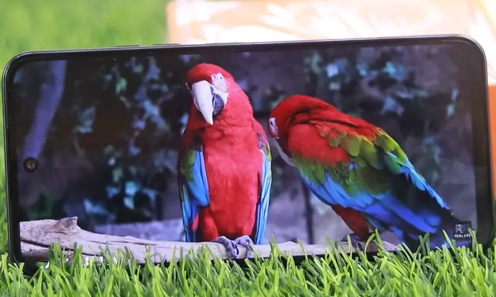 Tecno spark go 2 display image