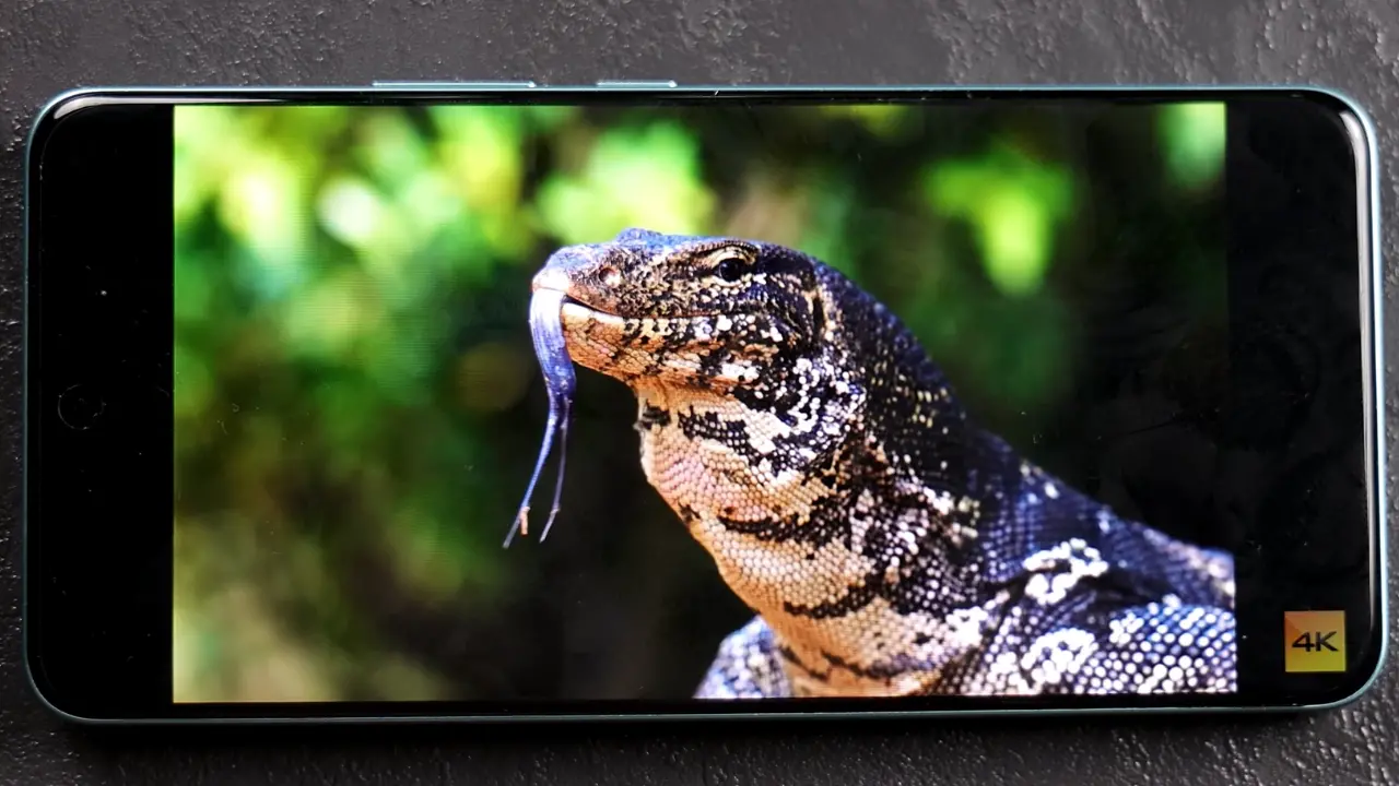 Vivo t4 display image