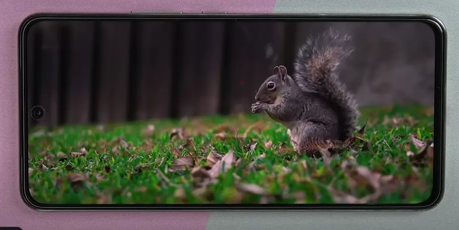 vivo v40 lite display
