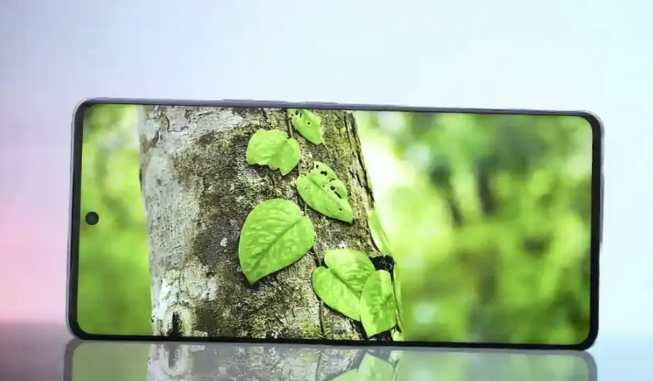 Vivo v40 pro display image