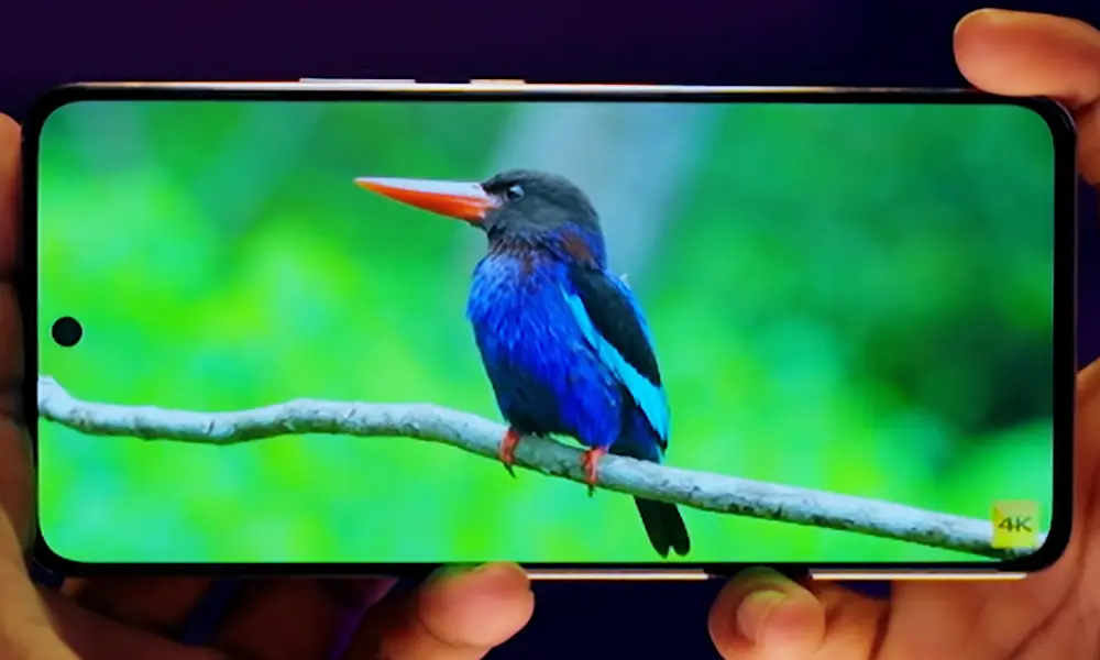 vivo v50 lite 4g display image