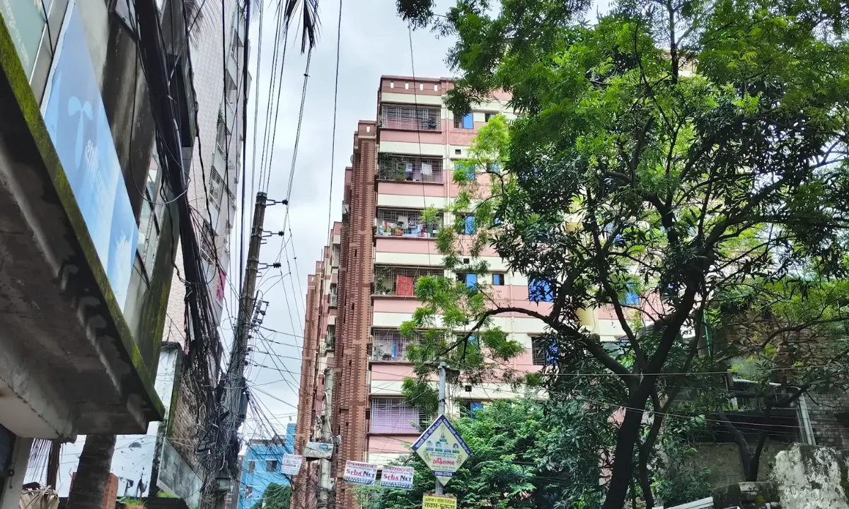 vivo v60 lite 5g daylight image