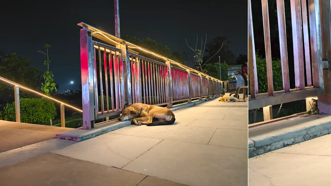 vivo x300 fe low light image