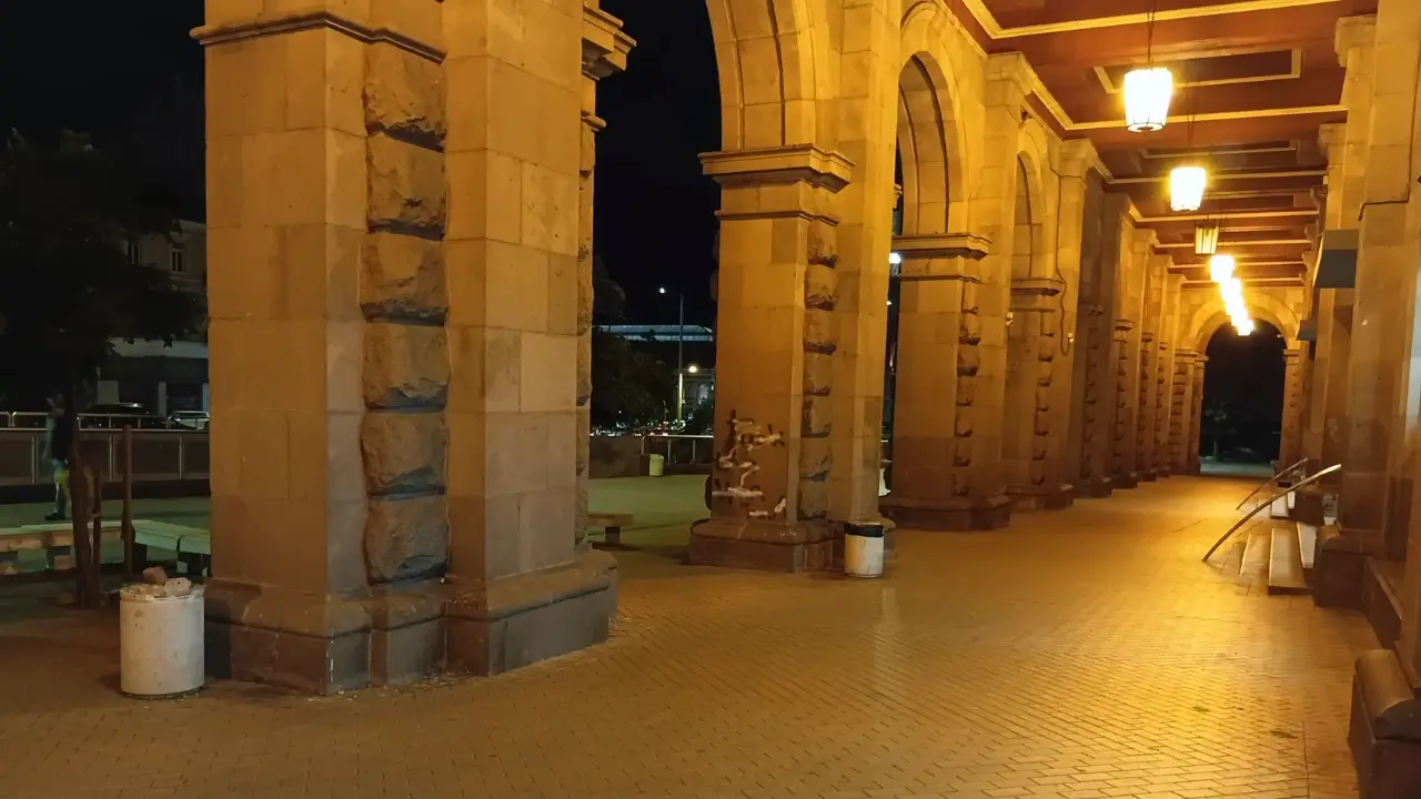 vivo x300 low light image