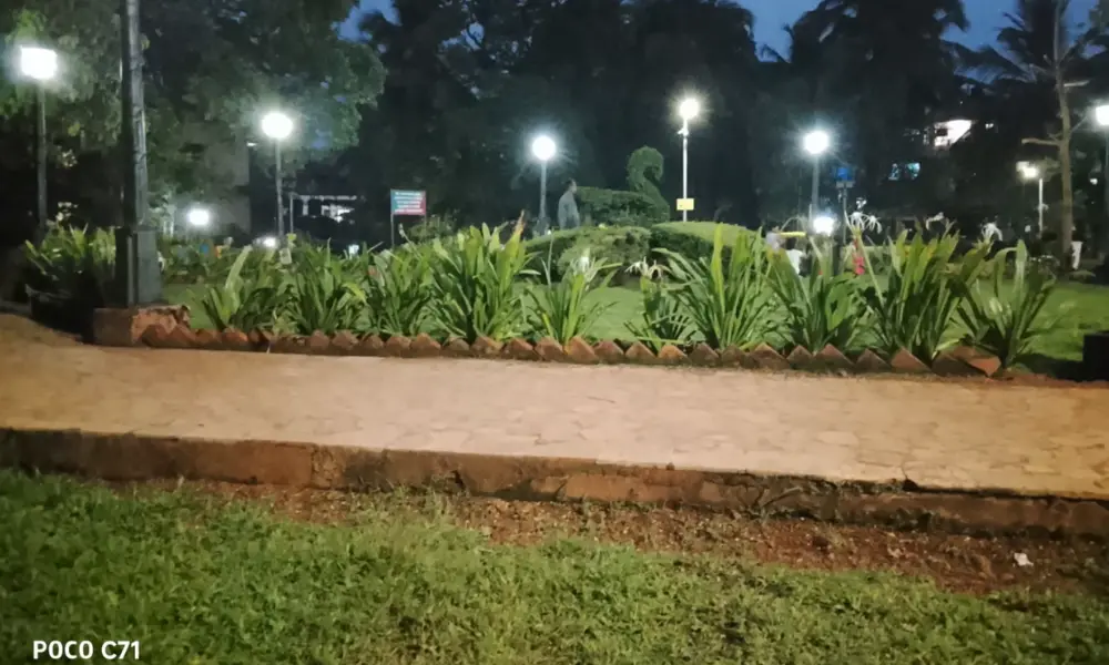 xiaomi poco c71 low light image