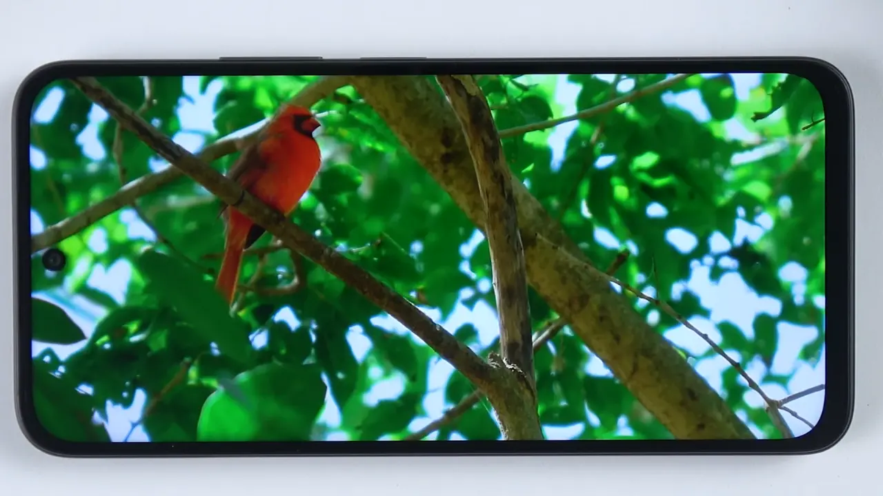 xiaomi redmi 15c display image