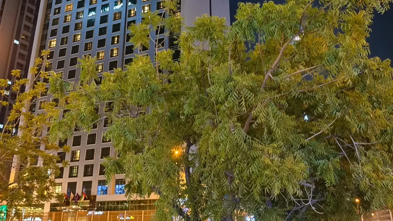 xiaomi redmi 15c low light image